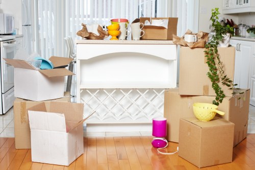 House removal team helping with a move in Selhurst