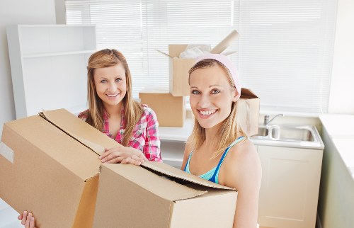 Moving boxes and furniture with a van in Selhurst area
