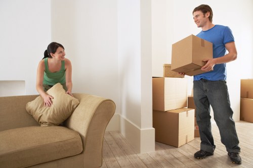 Risk assessment and safety planning for a Selhurst man with van move