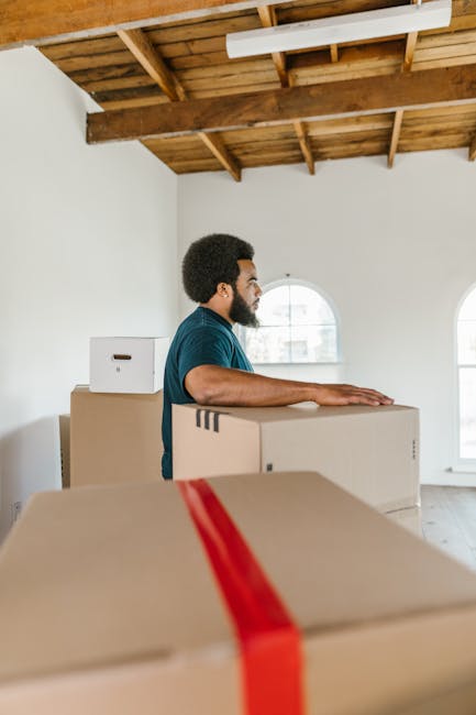 A man with curly hair and a beard, wearing a blue shirt and dark trousers, sits on the floor of a room with wooden flooring, leaning against a stack of cardboard boxes secured with red packaging tape. The room features high ceilings and large, arched windows allowing natural light to illuminate the space. Outside the windows, a street with parked cars and modern buildings is visible. Inside, a tall potted plant with broad green leaves is positioned near the window, adding a touch of greenery to the otherwise minimalistic interior. This scene captures a moment during home relocation or packing, with the boxes ready for transportation by a professional removal service such as Man with Van Selhurst, who specialises in furniture transport and packing and moving logistics within the Selhurst area.